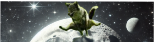 Moon Moon Jump