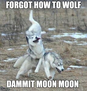 Moon-Moon-Meme